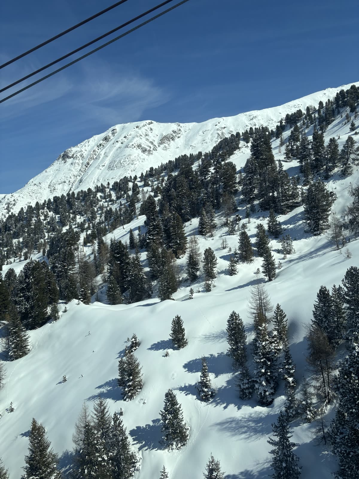 Blick aus der Gondel
